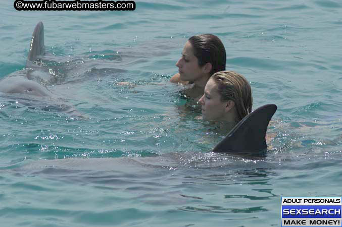 Local Billing Dolphin Encounter and Swim 2005