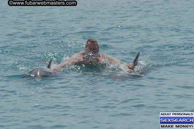 Local Billing Dolphin Encounter and Swim 2005