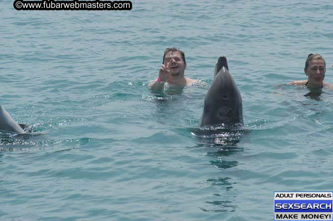Local Billing Dolphin Encounter and Swim 2005