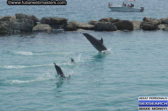 Local Billing Dolphin Encounter and Swim 2005