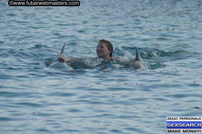 Local Billing Dolphin Encounter and Swim 2005