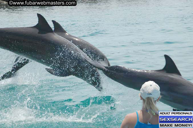 Local Billing Dolphin Encounter and Swim 2005