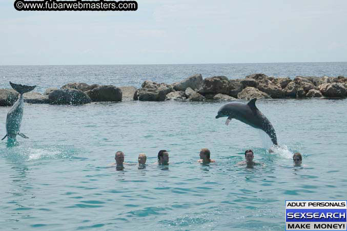 Local Billing Dolphin Encounter and Swim 2005
