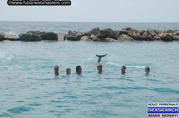 Local Billing Dolphin Encounter and Swim 2005