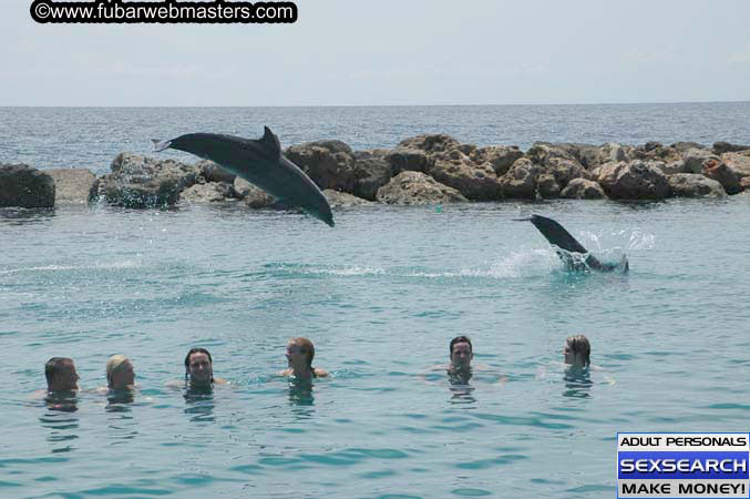 Local Billing Dolphin Encounter and Swim 2005