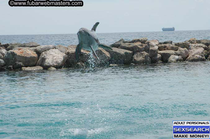 Local Billing Dolphin Encounter and Swim 2005