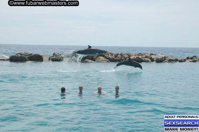 Local Billing Dolphin Encounter and Swim 2005