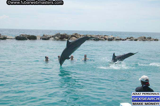 Local Billing Dolphin Encounter and Swim 2005