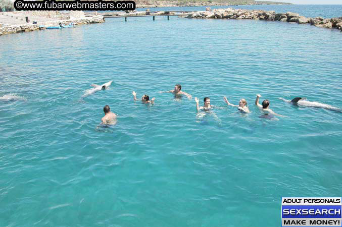 Local Billing Dolphin Encounter and Swim 2005