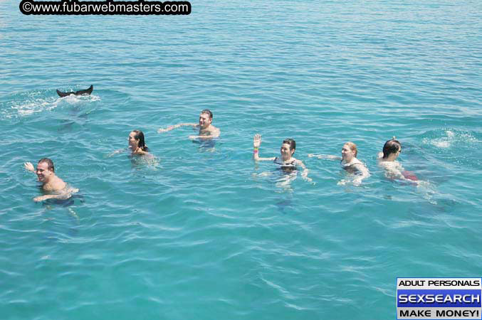 Local Billing Dolphin Encounter and Swim 2005