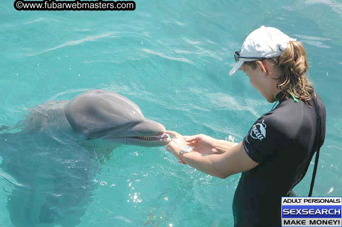 Local Billing Dolphin Encounter and Swim 2005