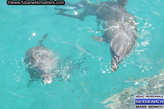 Local Billing Dolphin Encounter and Swim 2005