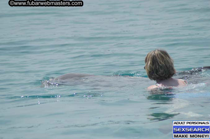 Local Billing Dolphin Encounter and Swim 2005