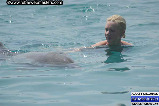 Local Billing Dolphin Encounter and Swim 2005