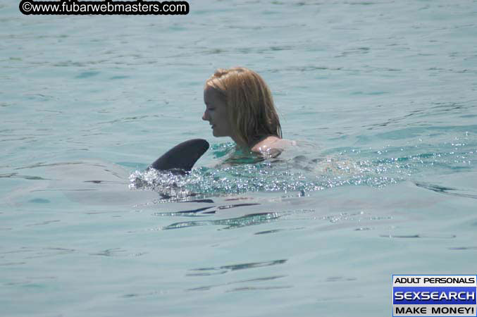 Local Billing Dolphin Encounter and Swim 2005