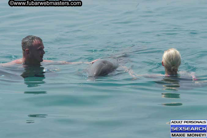 Local Billing Dolphin Encounter and Swim 2005