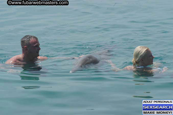 Local Billing Dolphin Encounter and Swim 2005