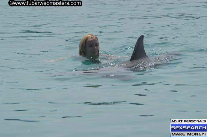 Local Billing Dolphin Encounter and Swim 2005