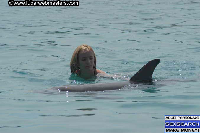 Local Billing Dolphin Encounter and Swim 2005