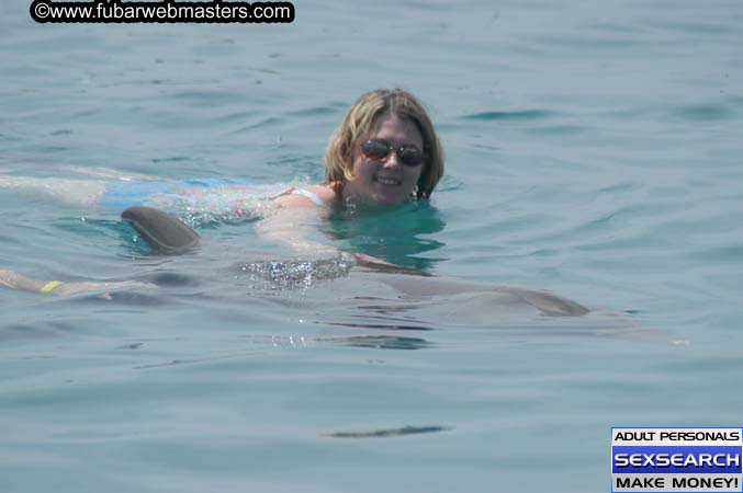 Local Billing Dolphin Encounter and Swim 2005