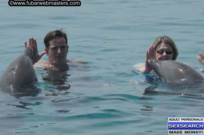 Local Billing Dolphin Encounter and Swim 2005