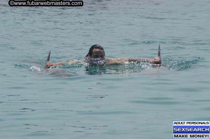 Local Billing Dolphin Encounter and Swim 2005