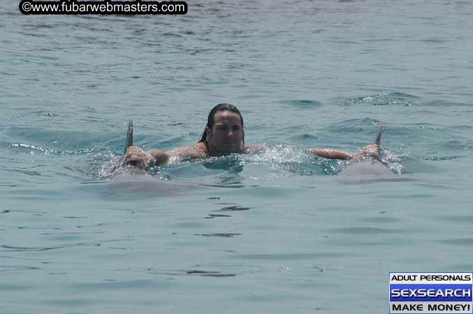 Local Billing Dolphin Encounter and Swim 2005