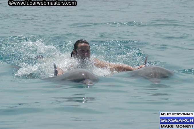 Local Billing Dolphin Encounter and Swim 2005