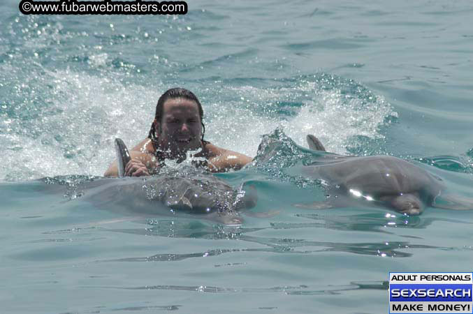 Local Billing Dolphin Encounter and Swim 2005