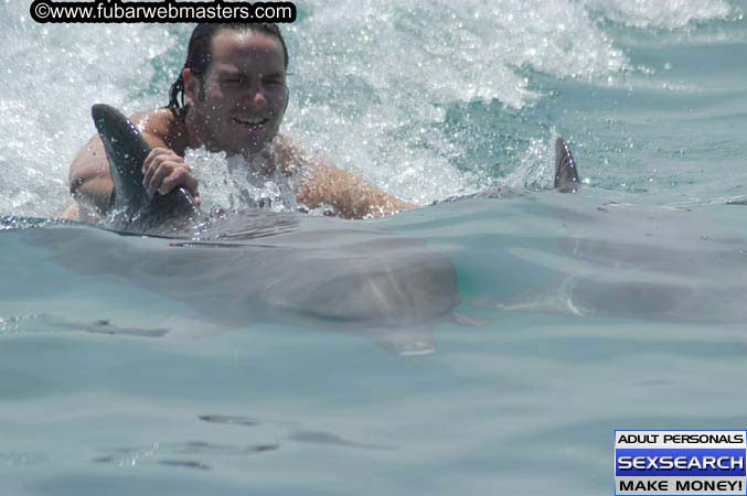 Local Billing Dolphin Encounter and Swim 2005