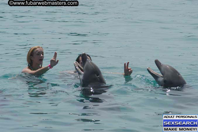 Local Billing Dolphin Encounter and Swim 2005