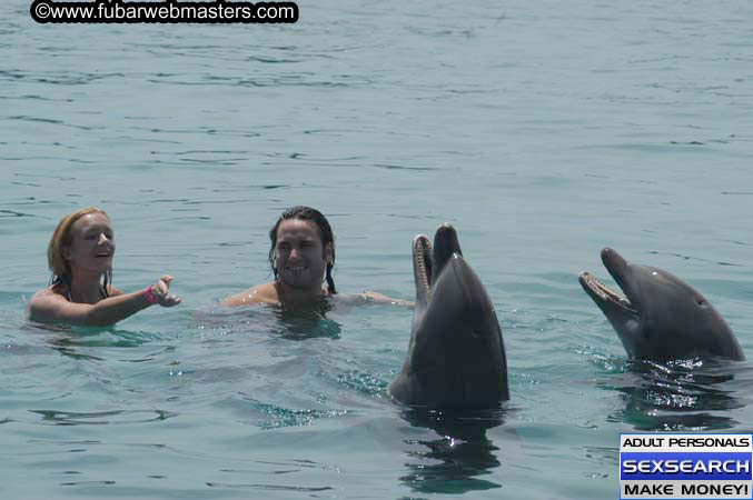 Local Billing Dolphin Encounter and Swim 2005