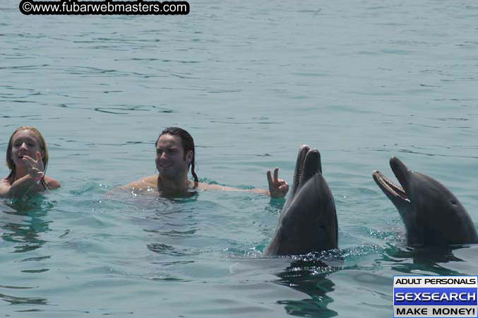 Local Billing Dolphin Encounter and Swim 2005