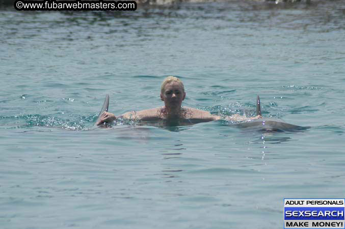 Local Billing Dolphin Encounter and Swim 2005