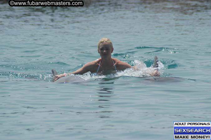 Local Billing Dolphin Encounter and Swim 2005