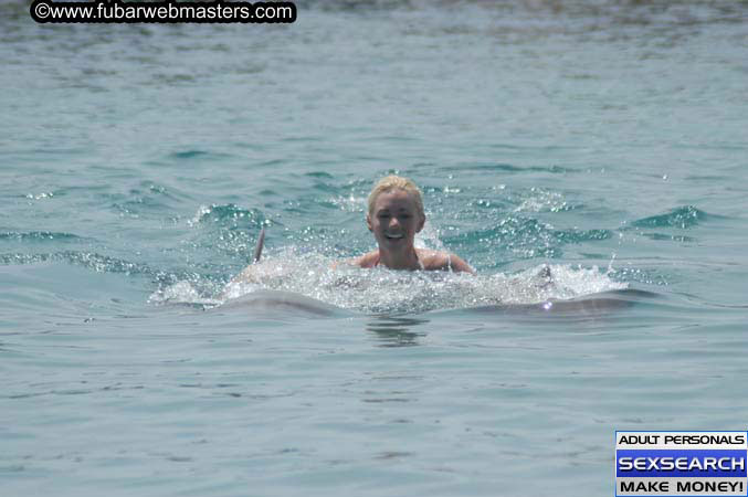 Local Billing Dolphin Encounter and Swim 2005