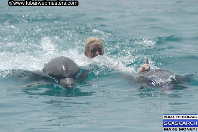 Local Billing Dolphin Encounter and Swim 2005