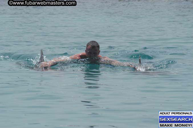 Local Billing Dolphin Encounter and Swim 2005