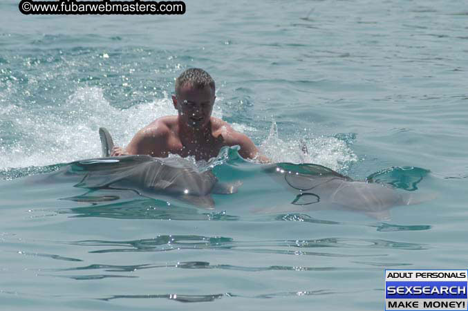 Local Billing Dolphin Encounter and Swim 2005