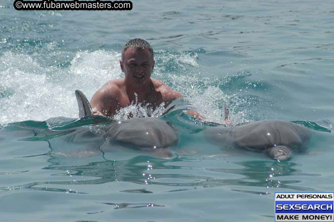 Local Billing Dolphin Encounter and Swim 2005