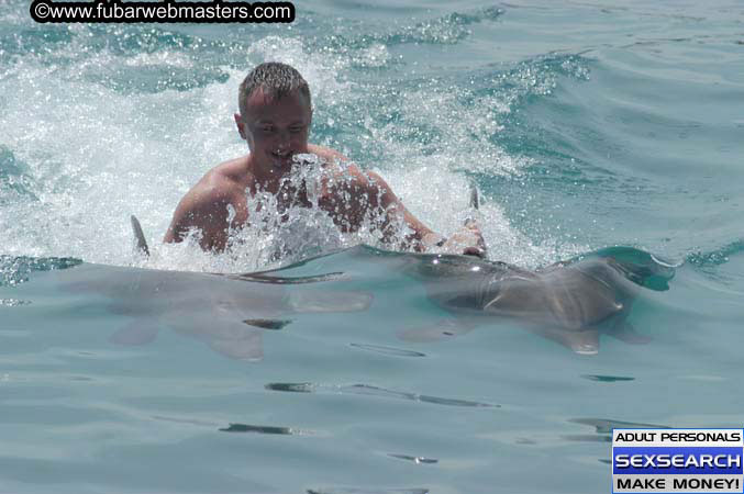 Local Billing Dolphin Encounter and Swim 2005
