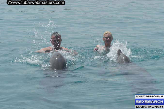 Local Billing Dolphin Encounter and Swim 2005