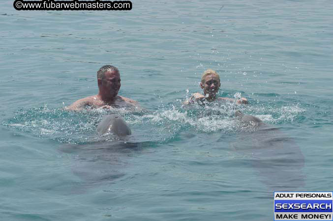 Local Billing Dolphin Encounter and Swim 2005