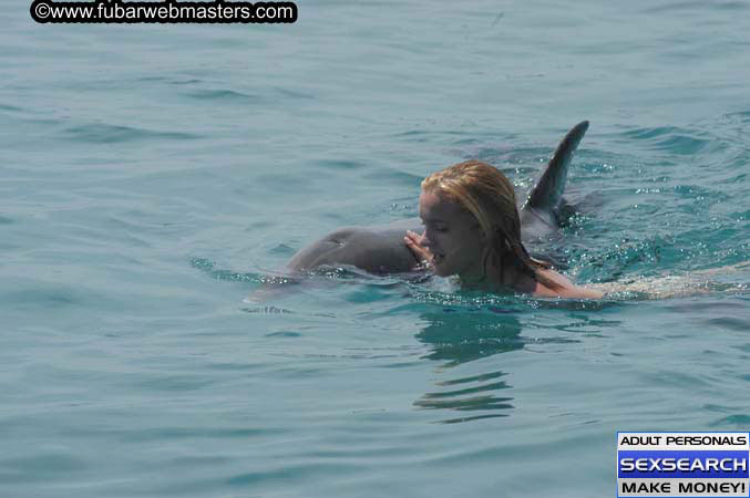 Local Billing Dolphin Encounter and Swim 2005