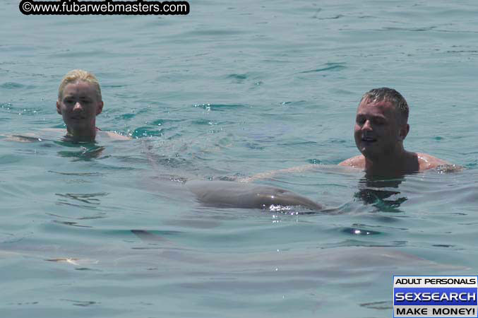 Local Billing Dolphin Encounter and Swim 2005