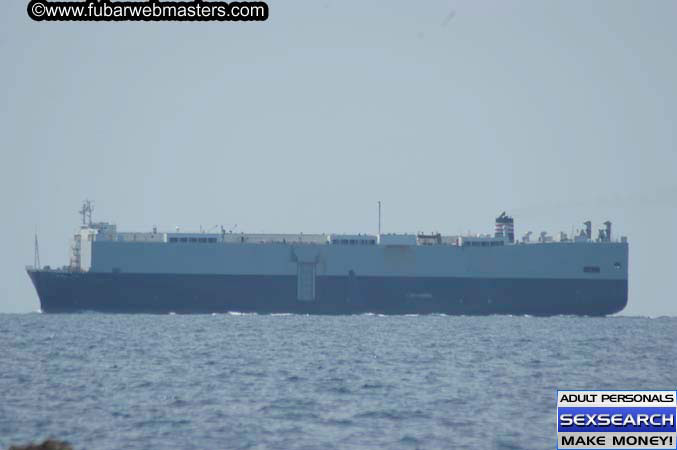 Local Billing Dolphin Encounter and Swim 2005