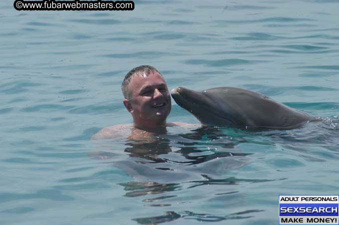 Local Billing Dolphin Encounter and Swim 2005