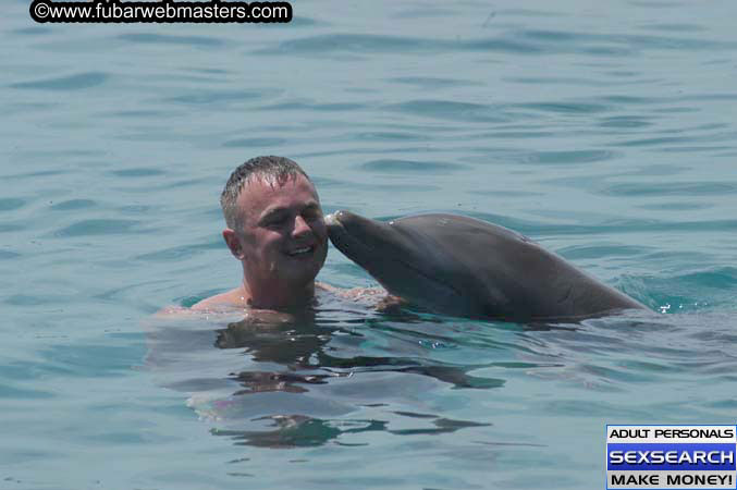 Local Billing Dolphin Encounter and Swim 2005