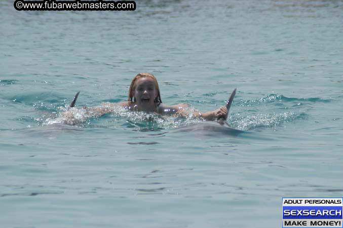 Local Billing Dolphin Encounter and Swim 2005