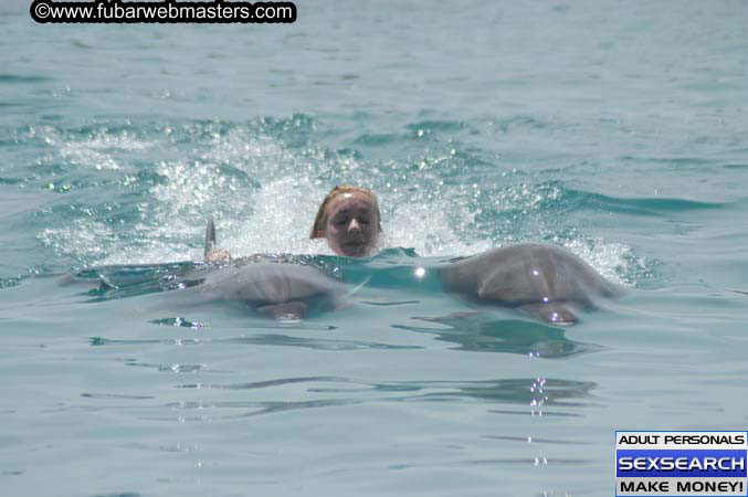 Local Billing Dolphin Encounter and Swim 2005